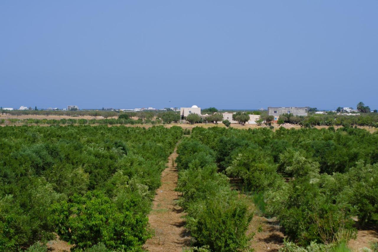 Villa Olivia, Yasmine Hammamet, Bouficha ภายนอก รูปภาพ