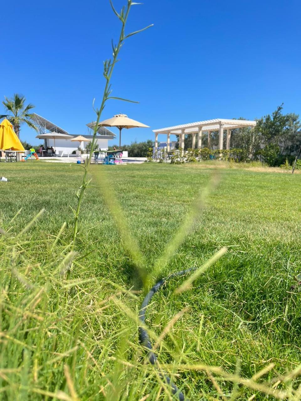 Villa Olivia, Yasmine Hammamet, Bouficha ภายนอก รูปภาพ