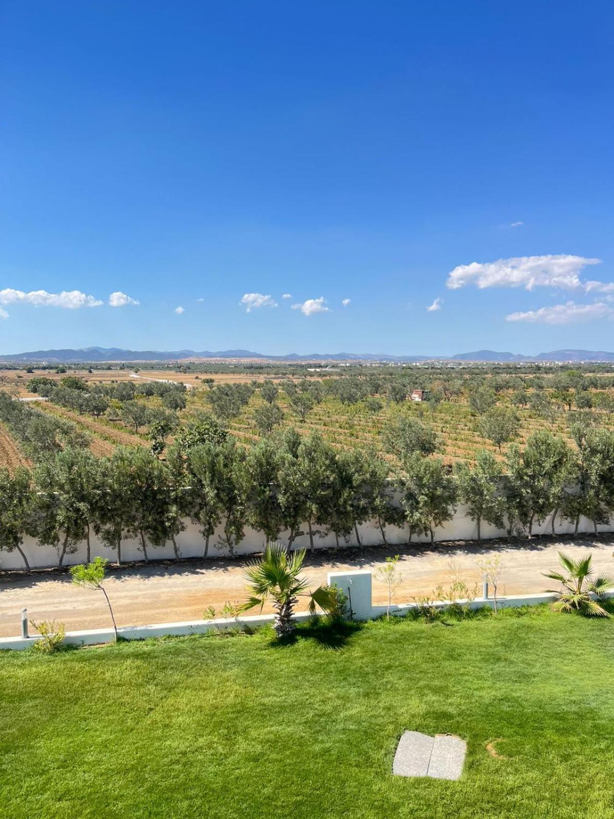 Villa Olivia, Yasmine Hammamet, Bouficha ภายนอก รูปภาพ